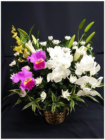 菊タイプ　供花